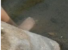 foot.png