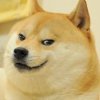 datfacedoge.jpg