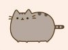 Pusheen.jpg