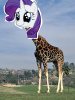 wutisdis.png