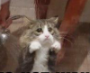 2014-05-27 10.09.44.png