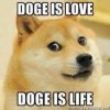 dogeislovedogeislife.jpg