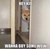 buywowpls.jpg