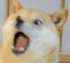 muchshock.jpg