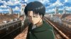 levi.jpg