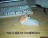 download.jpg