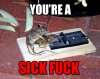 funny-mouse-humping-dead-rat-trap.jpg
