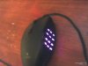 mouse.jpg
