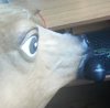upload_2014-6-12_17-25-35.png