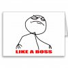 like a boss.jpg