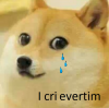 icrievertim.png