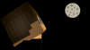 Beautiful Creeper.png