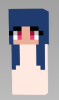 hair 1.png