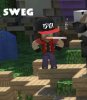 sweg.jpg