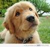 upload_2014-6-27_16-18-40.jpeg