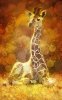 baby-giraffe-in-the-meadow-irene-cardona.jpg