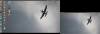 background.png