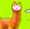 ALPACA.png