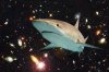 Space shark.jpg