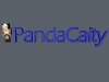 PandaCaity.png
