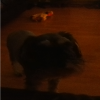 Max.png
