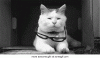 1391326999468903388.gif