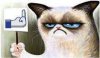 grumpycat.jpg