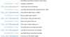 yay 1.png