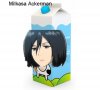 Mikasa.jpg