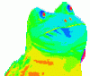 photo-5392.gif