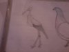 Desene frumoase 002.jpg