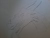 Dragon 002.jpg