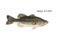 upload_2014-7-20_5-38-58.png