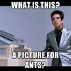22mm+What+is+this+a+handgun+for+ants+_d0da5a5f9901539565846f7aea0f832c.jpg