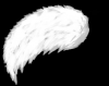 datdrawingdoe.png