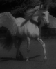 realisticcelestia_by_blockblocked-d6b843s (2).png