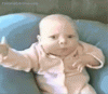 o rly.gif