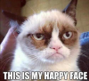425798912_Grumpy_Cat_xlarge.png