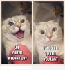 hahaha__i_m_gonna_kill_you_last__by_ncbela2-d6ilf6q.jpg