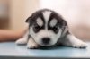 upload_2014-8-1_11-46-27.jpeg