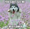 upload_2014-8-2_15-0-24.jpeg
