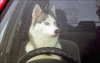 upload_2014-8-2_18-56-28.jpeg