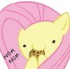 flutter is a cutey patooty.jpg