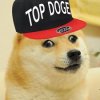 topdoge.jpg