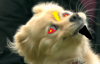 EKLDmiG.png