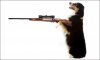 Dog_with-shooter_6_1084749a.jpg