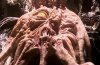 dalek-inside-caan-2.jpg