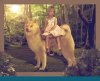 dogeprincess.jpg