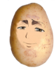 sashawhy.png