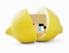 jentoschaf.png